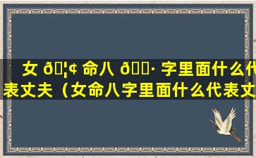 女 🦢 命八 🕷 字里面什么代表丈夫（女命八字里面什么代表丈夫的意思）